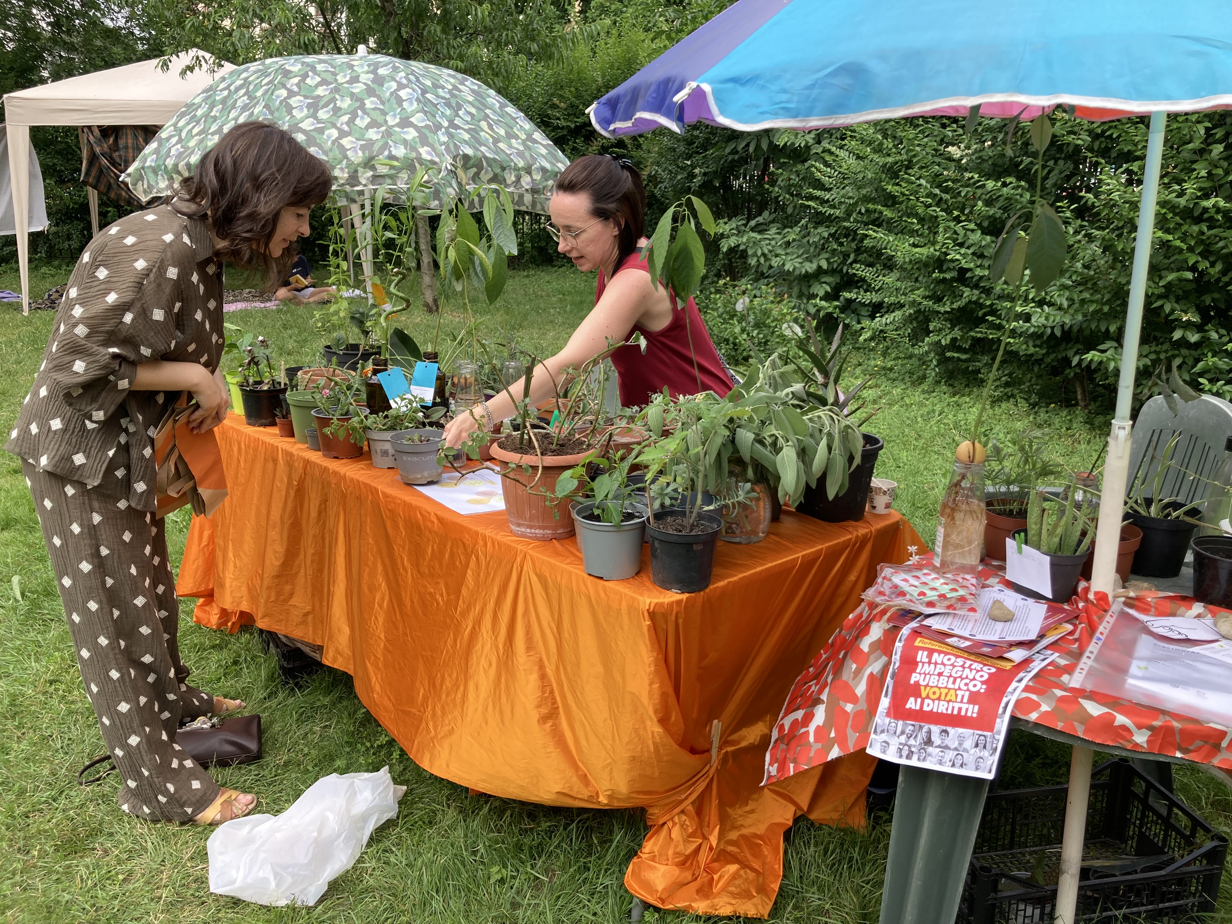 Piante e persone durante uno scambio nel giardino